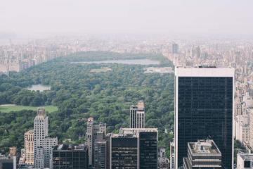 buildings and parks